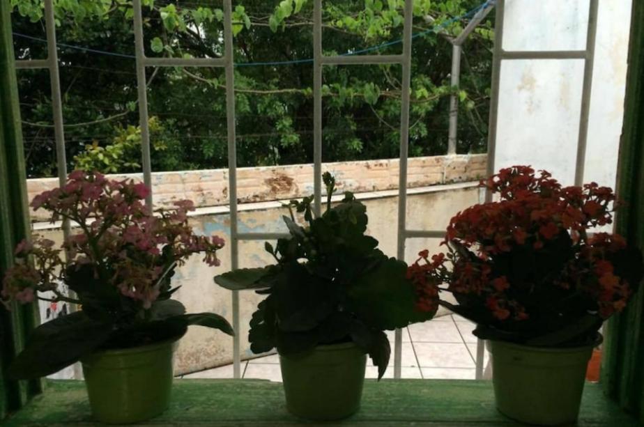 Quarto Em Casa Compartilhada Florianopolis Exterior photo
